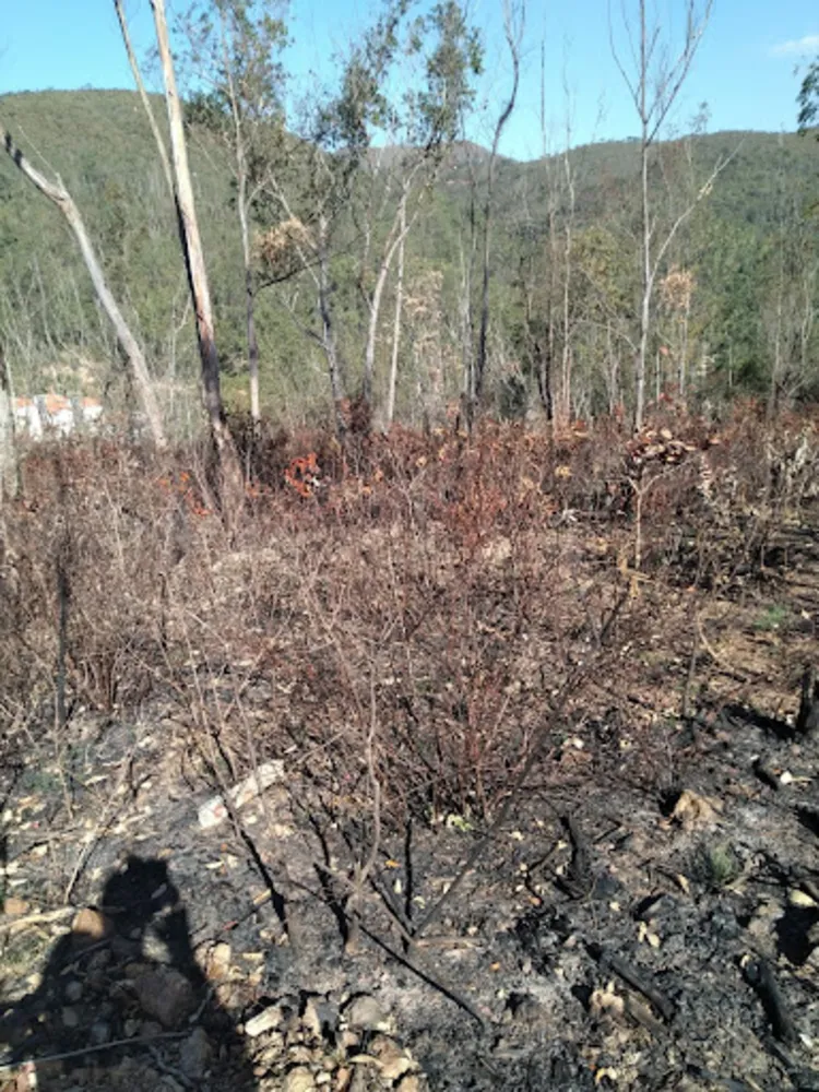 Terreno, 300 m² - Foto 3