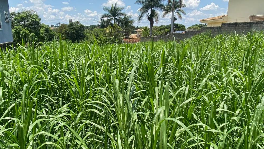 Terreno à venda, 1100m² - Foto 3