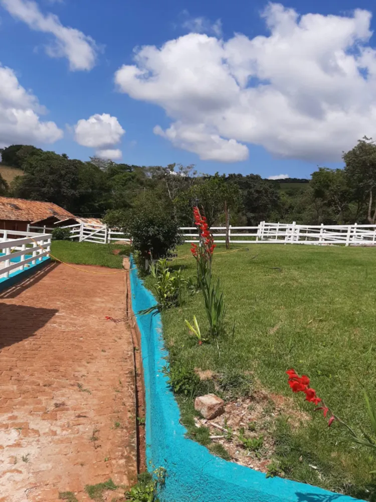 Chácara, 4 quartos, 5 hectares - Foto 3