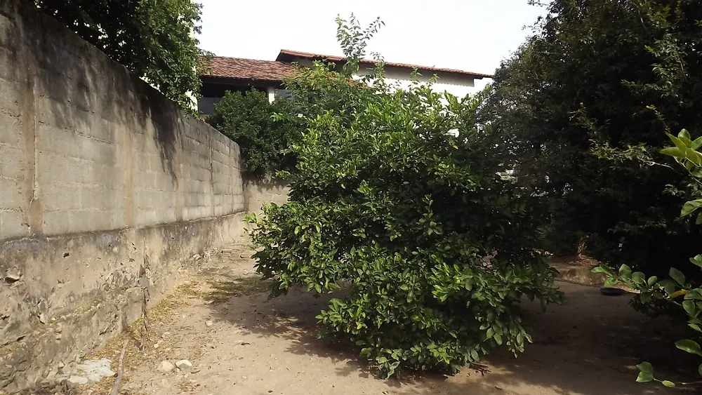 Casa, 2 quartos, 600 m² - Foto 14