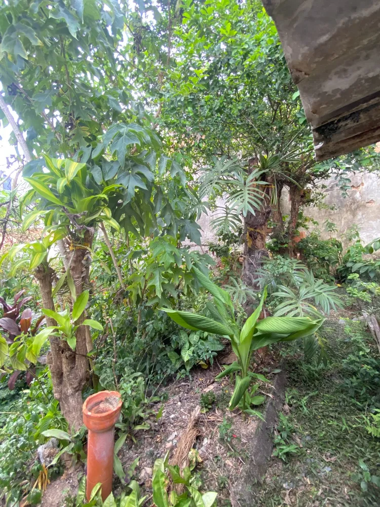 Casa, 3 quartos, 217 m² - Foto 12