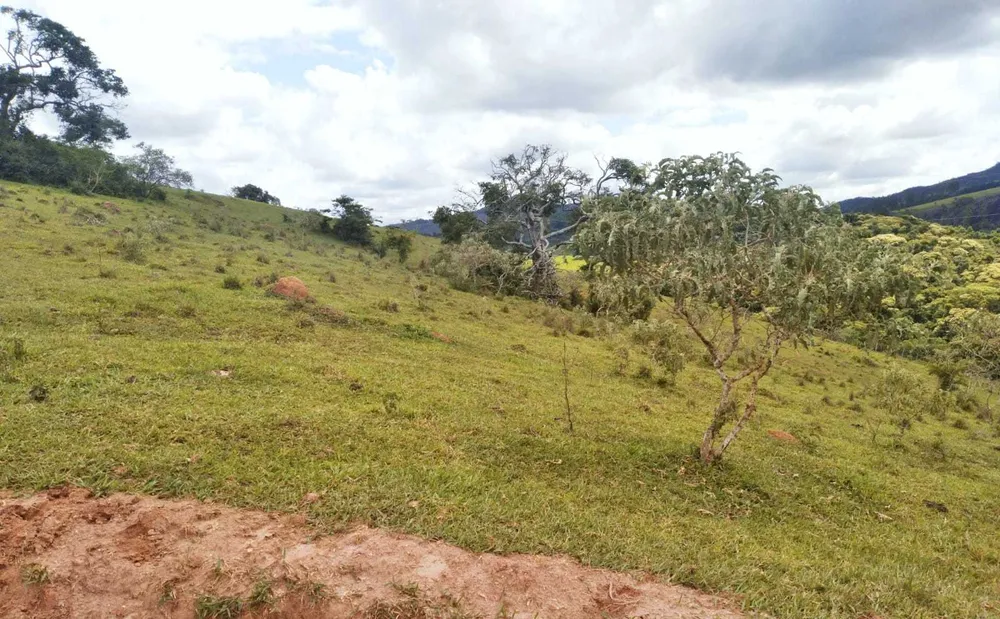 Fazenda, 188 hectares - Foto 2