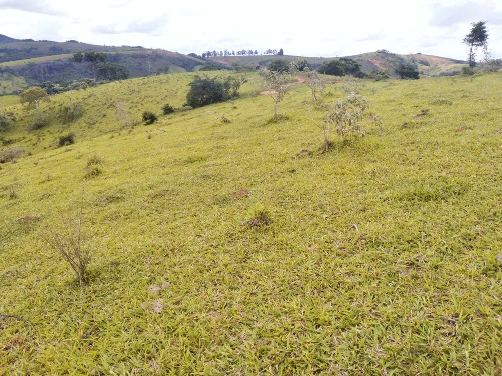 Fazenda, 188 hectares - Foto 7