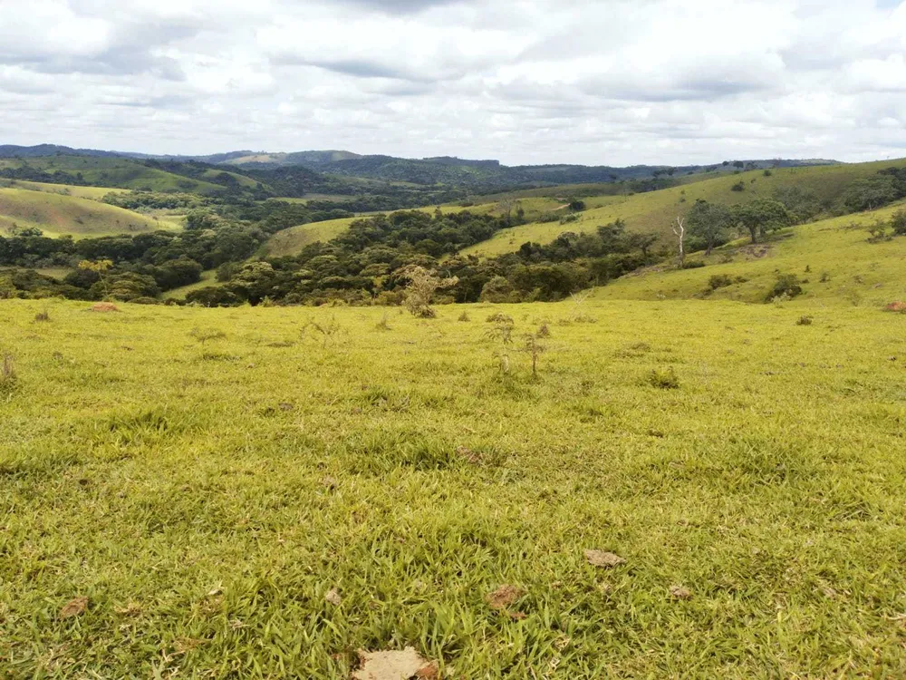 Fazenda, 188 hectares - Foto 4