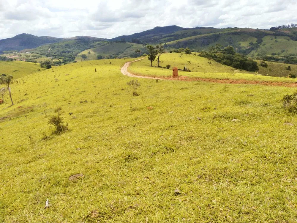 Fazenda, 188 hectares - Foto 8