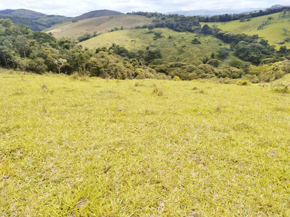Fazenda, 188 hectares - Foto 10