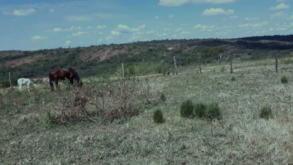 Fazenda, 752 hectares - Foto 3