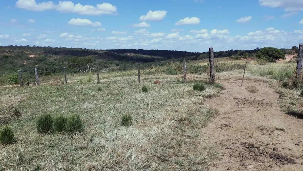 Fazenda, 752 hectares - Foto 4