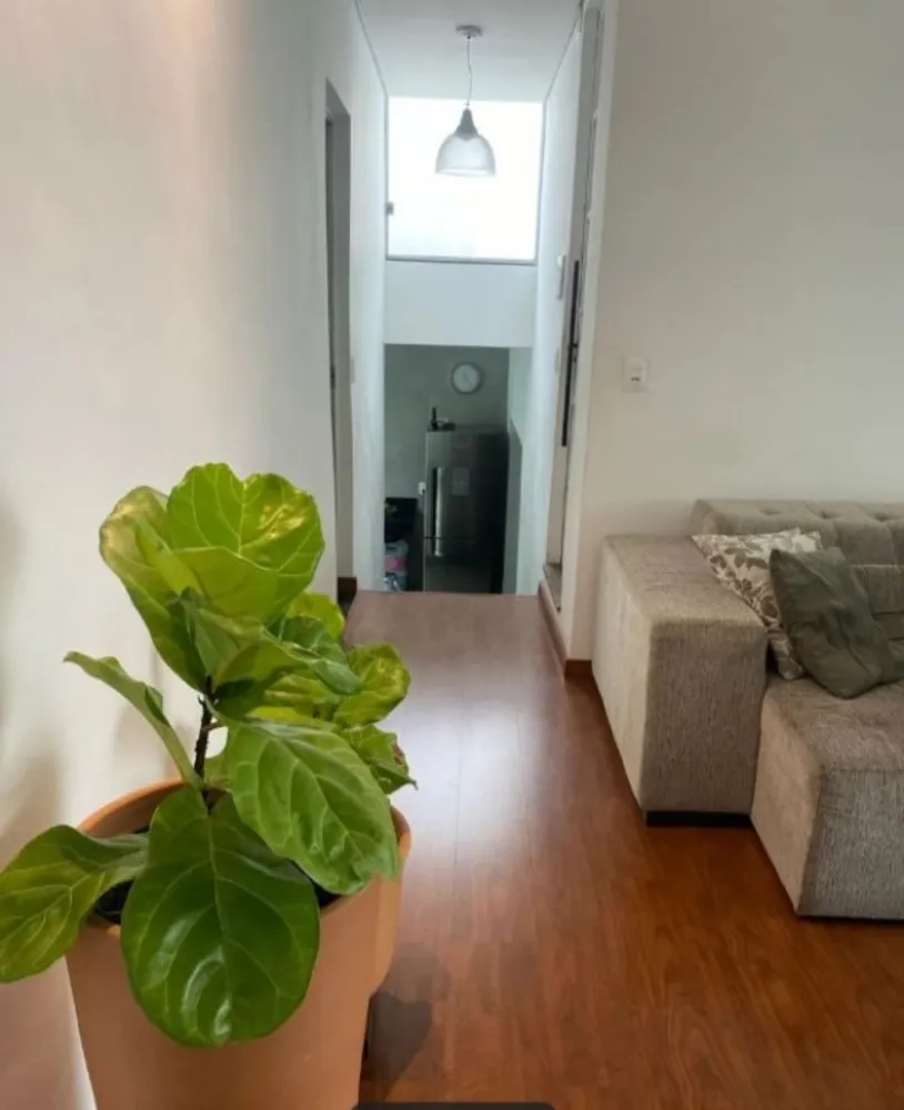 Casa, 3 quartos, 360 m² - Foto 3