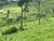 Terreno, 32900 m² - Foto 3