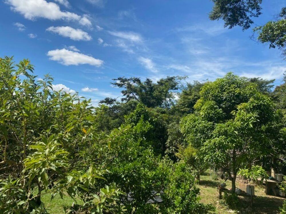Sítio à venda com 3 quartos, 250m² - Foto 14