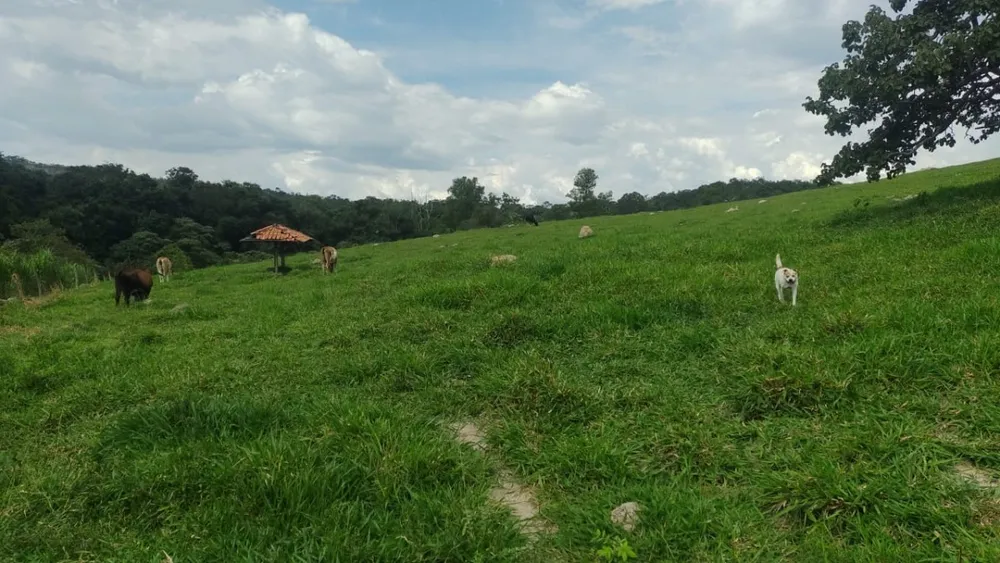 Fazenda, 1 quarto - Foto 14
