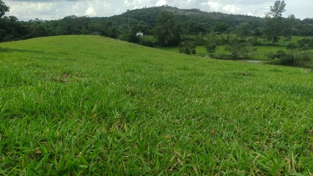 Fazenda, 1 quarto - Foto 21