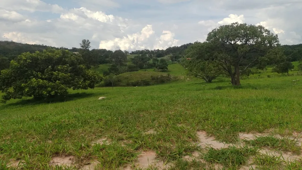 Fazenda, 1 quarto - Foto 15