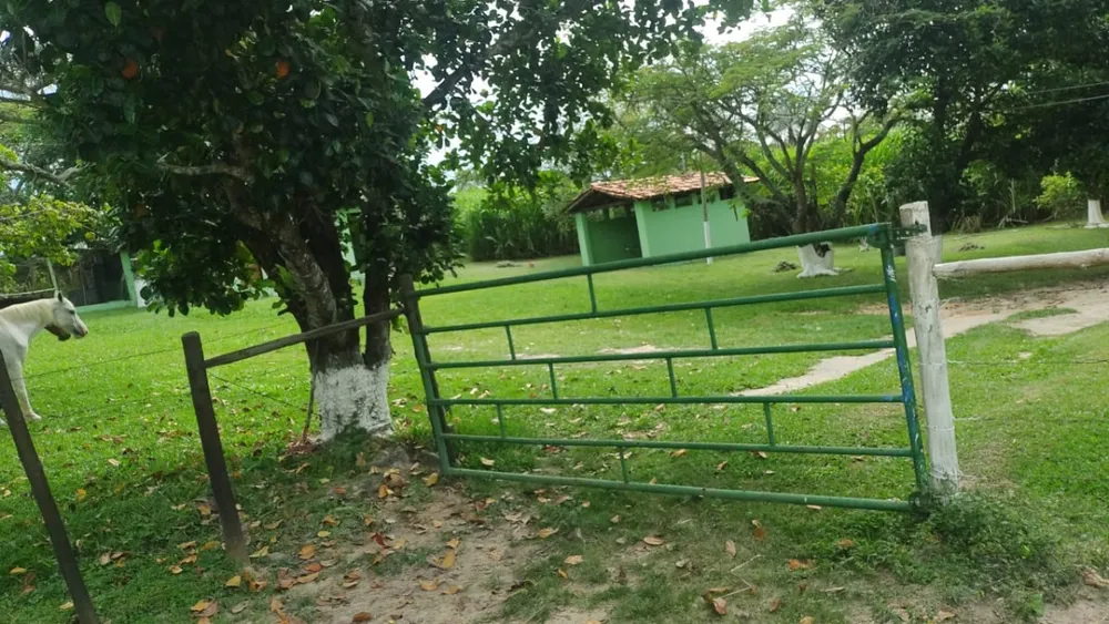 Fazenda, 1 quarto - Foto 1