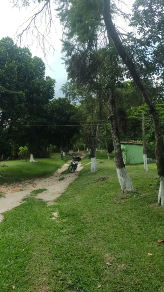 Fazenda, 1 quarto - Foto 3