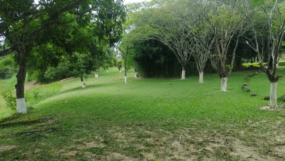Fazenda, 1 quarto - Foto 24