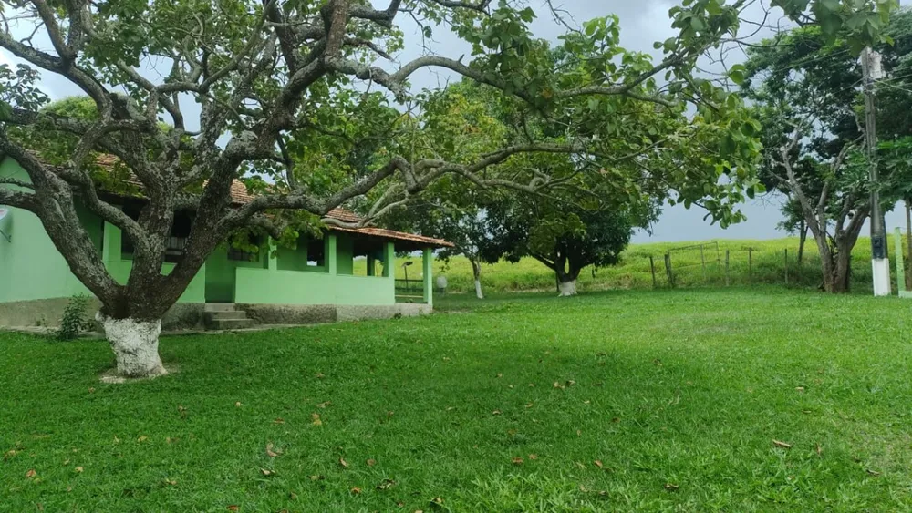 Fazenda, 1 quarto - Foto 4