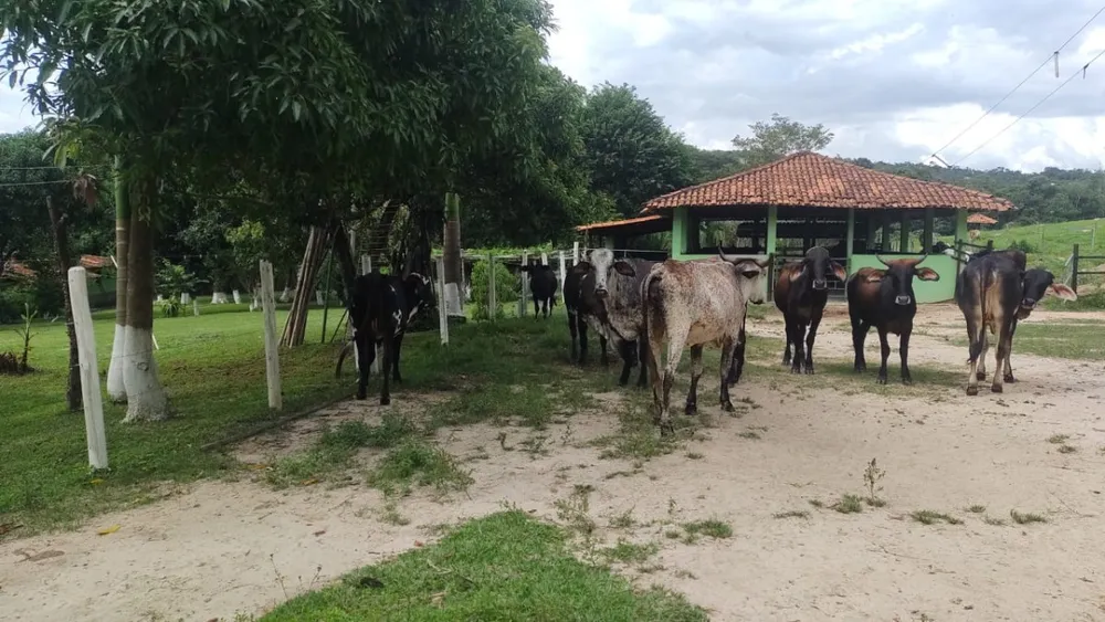 Fazenda, 1 quarto - Foto 1