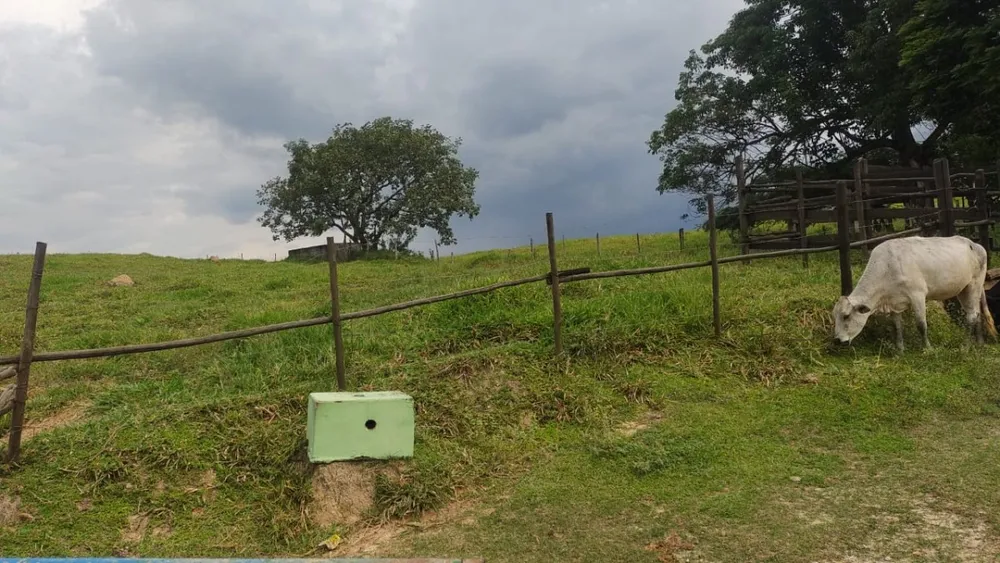 Fazenda, 1 quarto - Foto 7