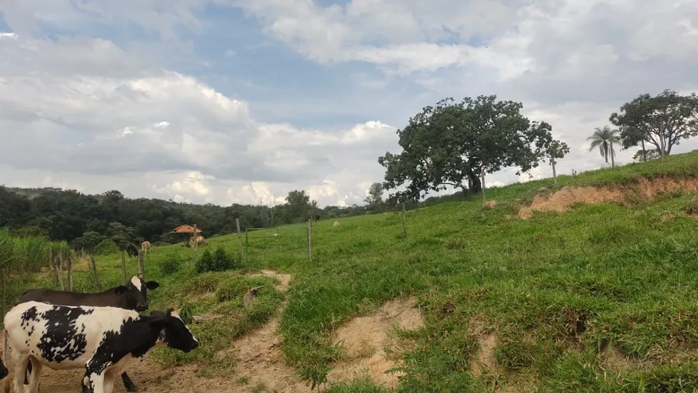 Fazenda, 1 quarto - Foto 6