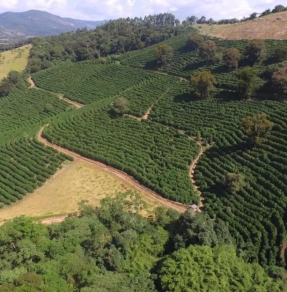 Fazenda, 101 hectares - Foto 1