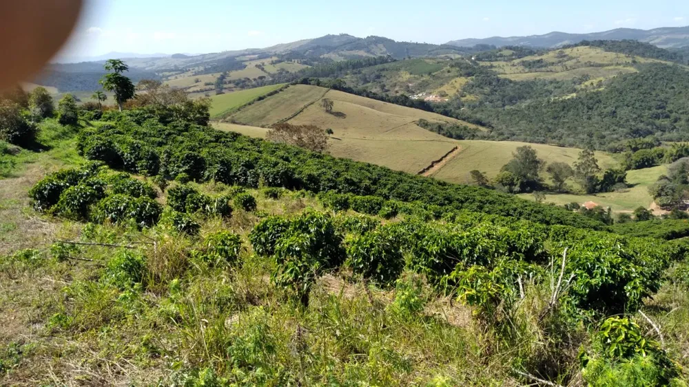 Fazenda, 101 hectares - Foto 9