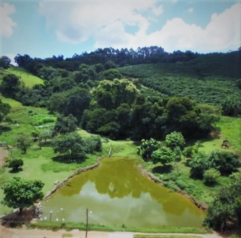 Fazenda, 101 hectares - Foto 4