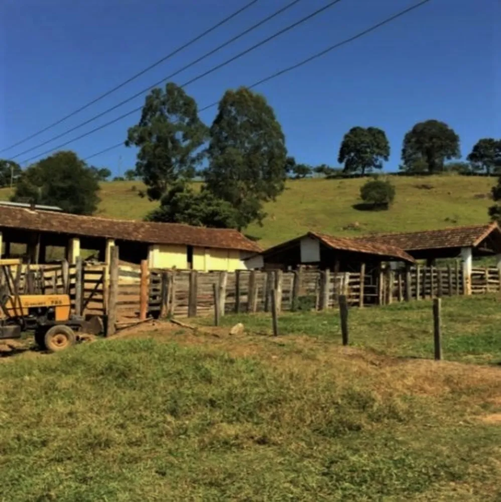 Fazenda, 101 hectares - Foto 20
