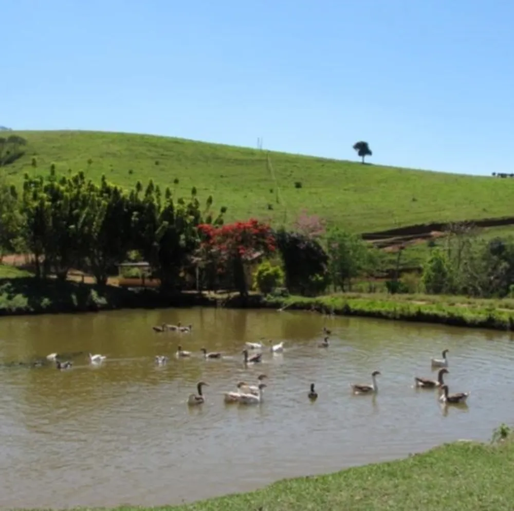 Fazenda, 101 hectares - Foto 13