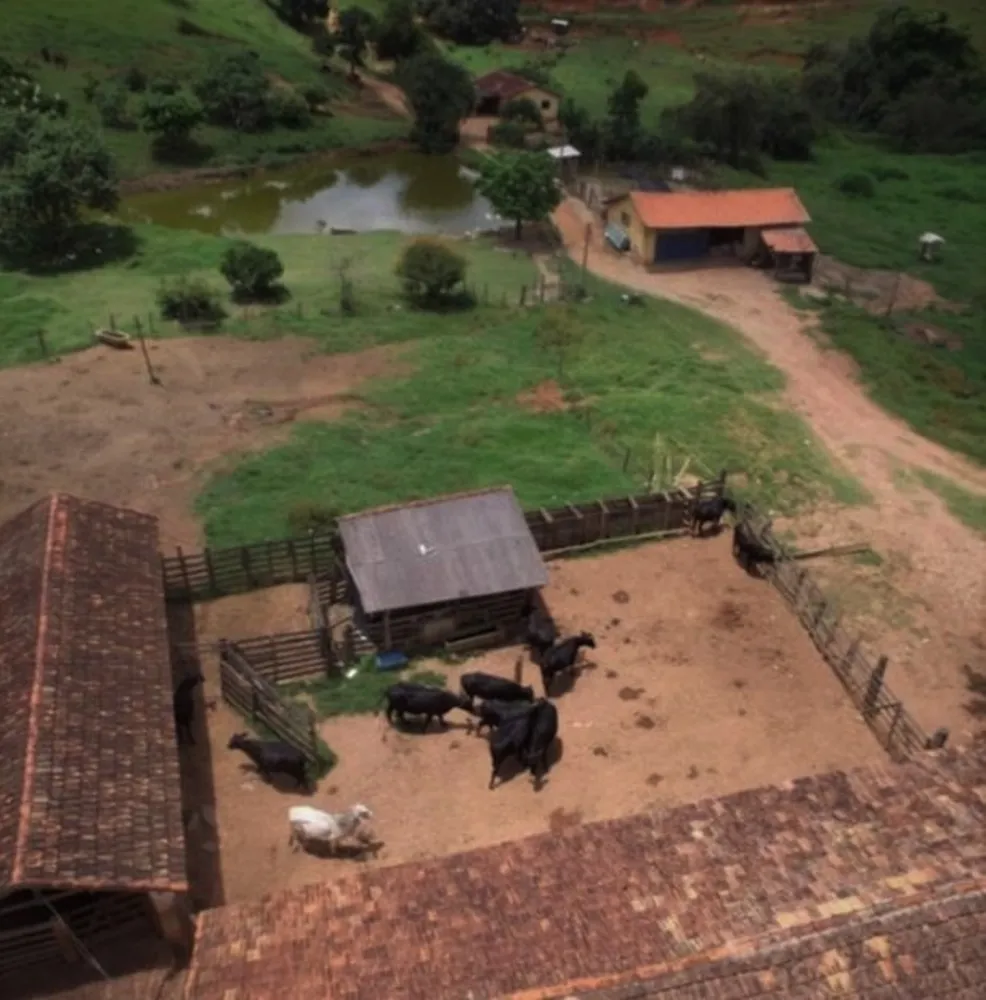 Fazenda, 101 hectares - Foto 19