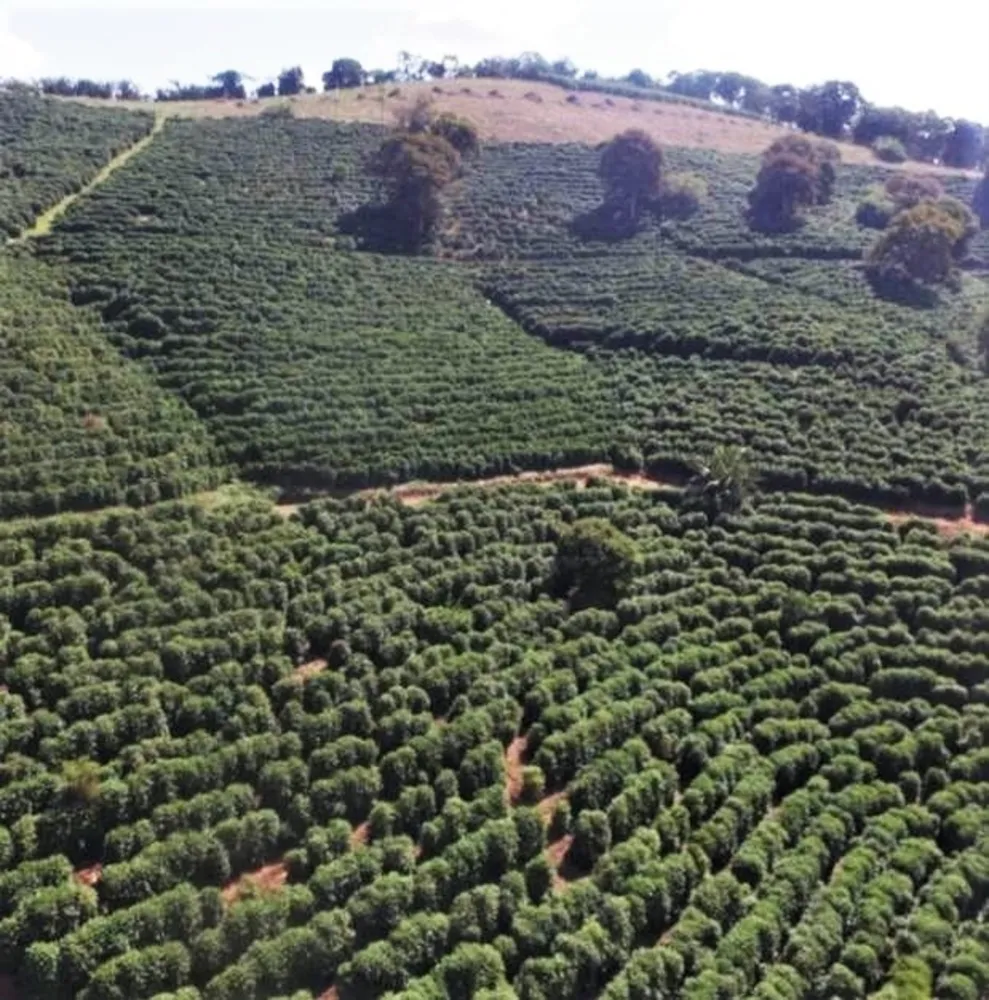 Fazenda, 101 hectares - Foto 2