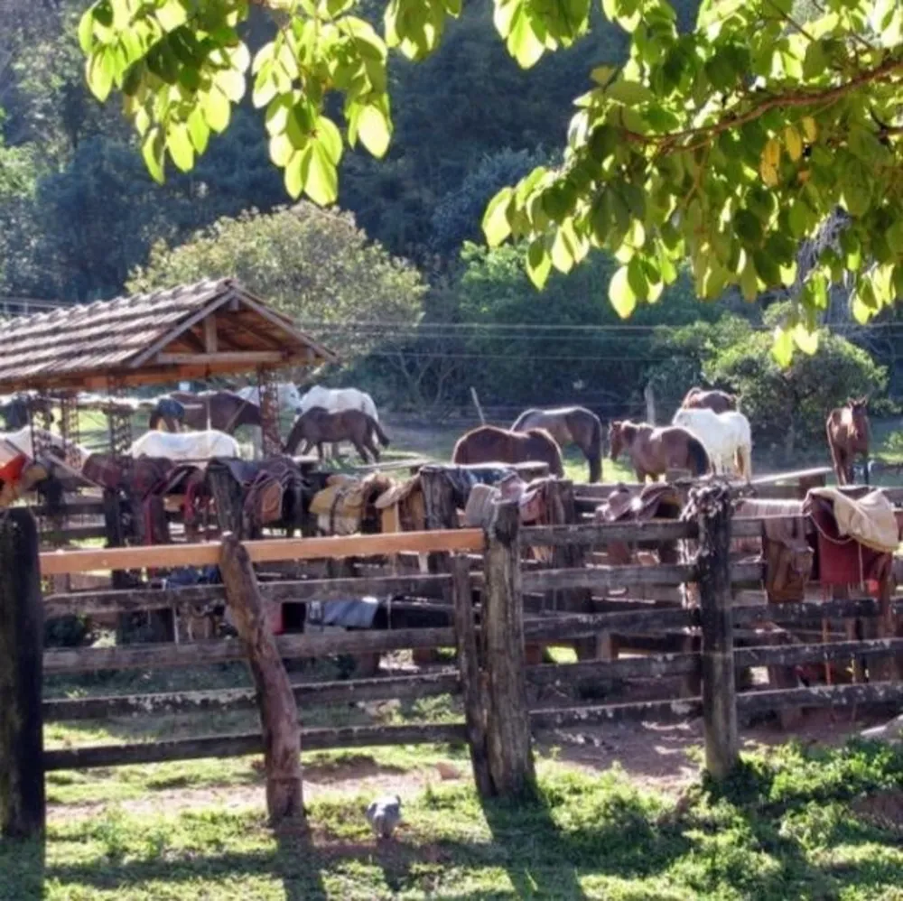 Fazenda, 101 hectares - Foto 16