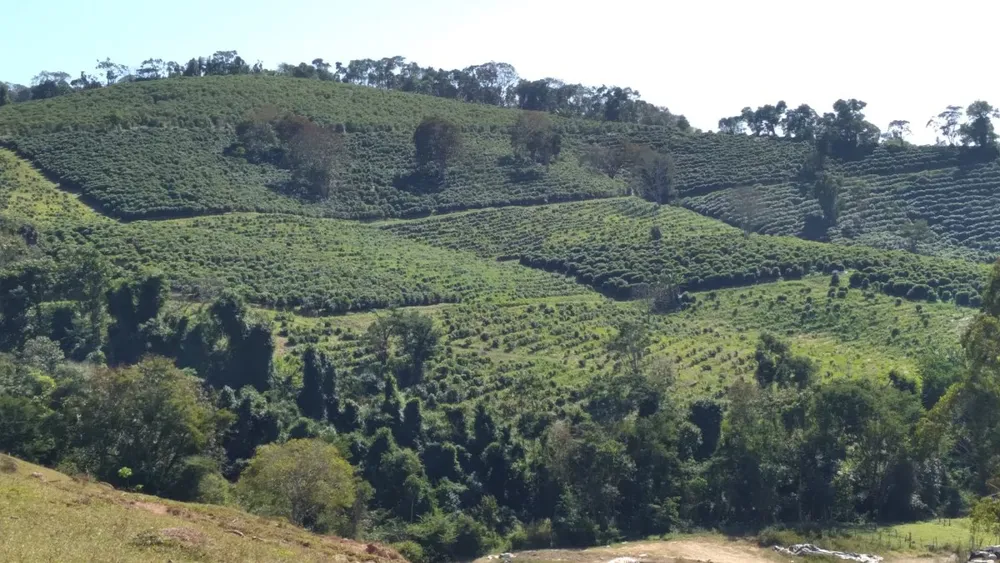 Fazenda, 101 hectares - Foto 6