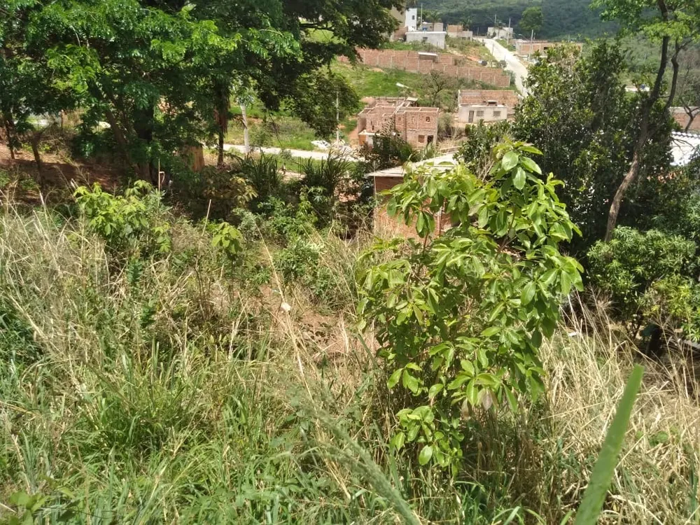 Terreno, 530 m² - Foto 8