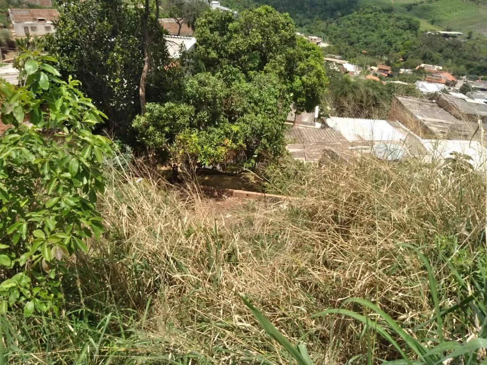 Terreno, 530 m² - Foto 10