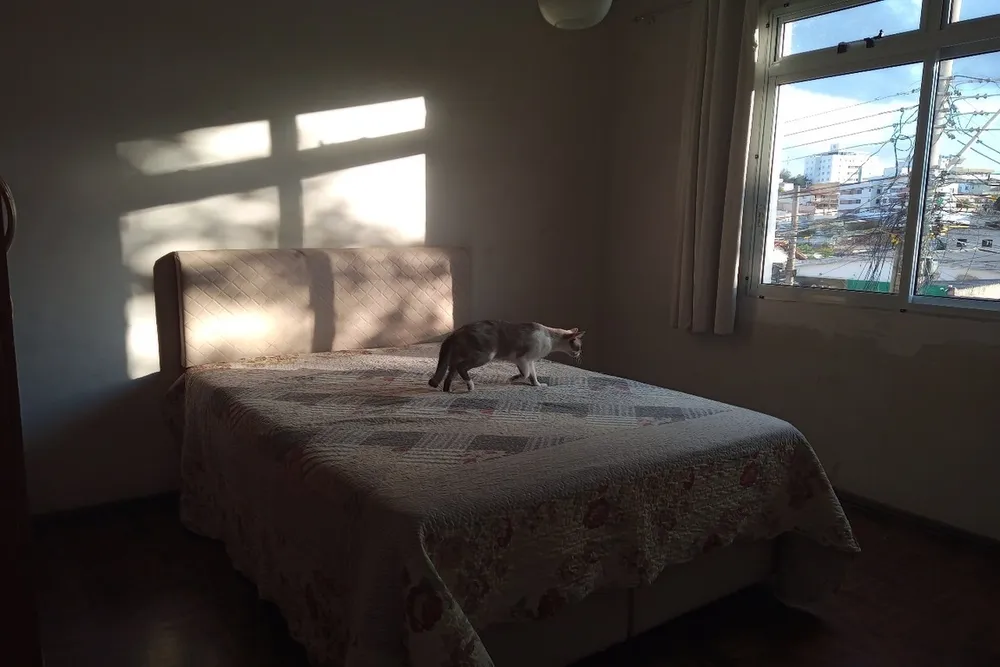 Apartamento, 2 quartos, 80 m² - Foto 3