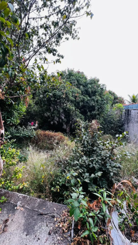 Casa, 3 quartos, 420 m² - Foto 16