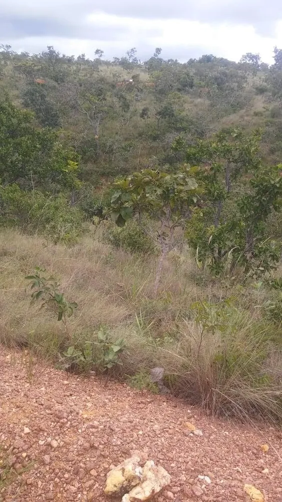 Terreno - Foto 4