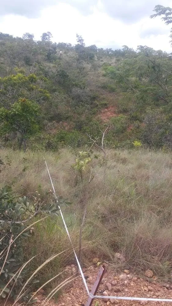 Terreno - Foto 2