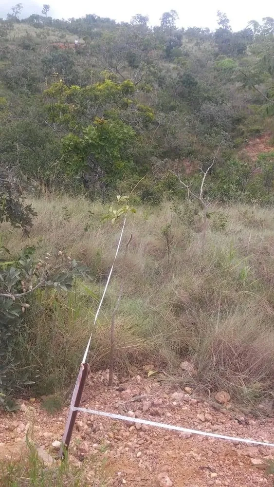 Terreno - Foto 3