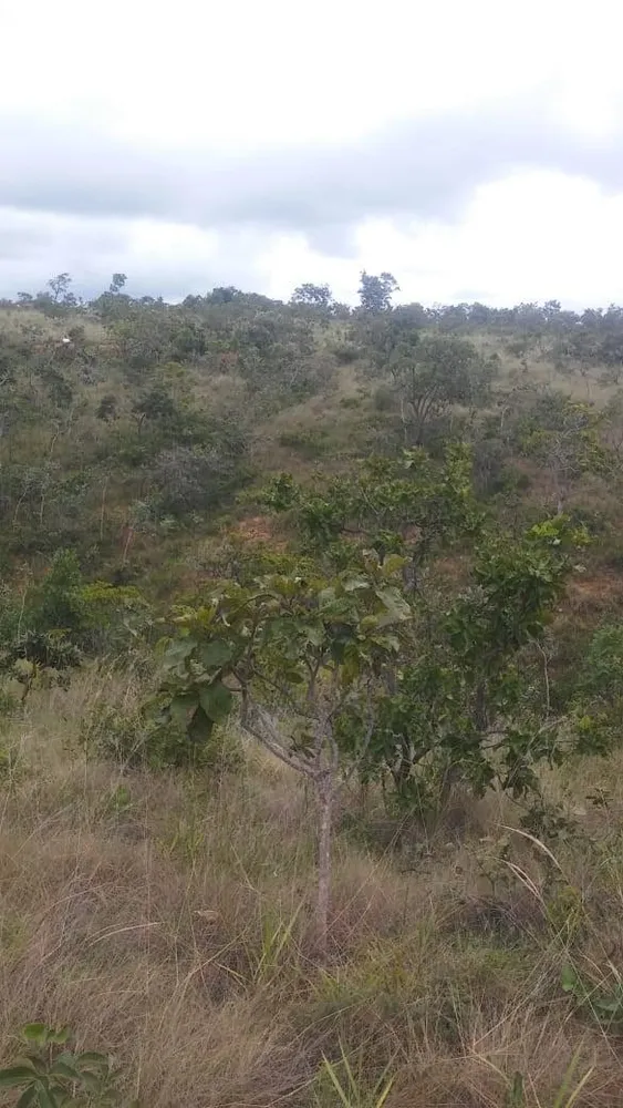 Terreno - Foto 5