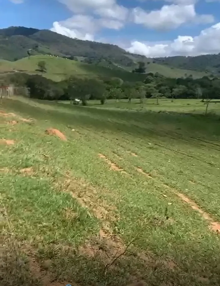 Fazenda, 320 hectares - Foto 12