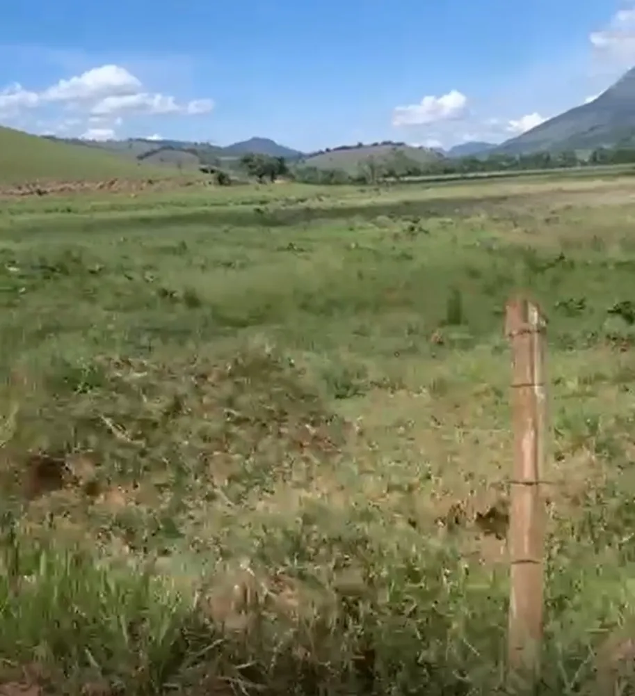Fazenda, 320 hectares - Foto 3