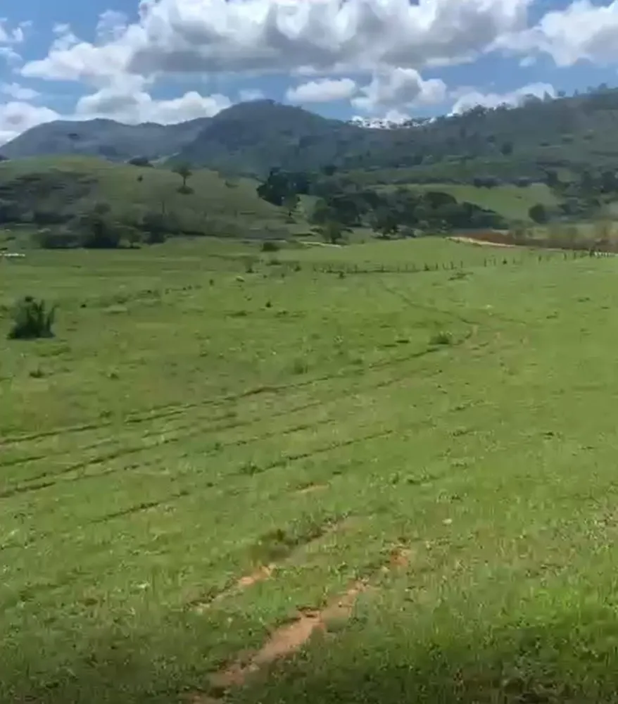Fazenda, 320 hectares - Foto 1
