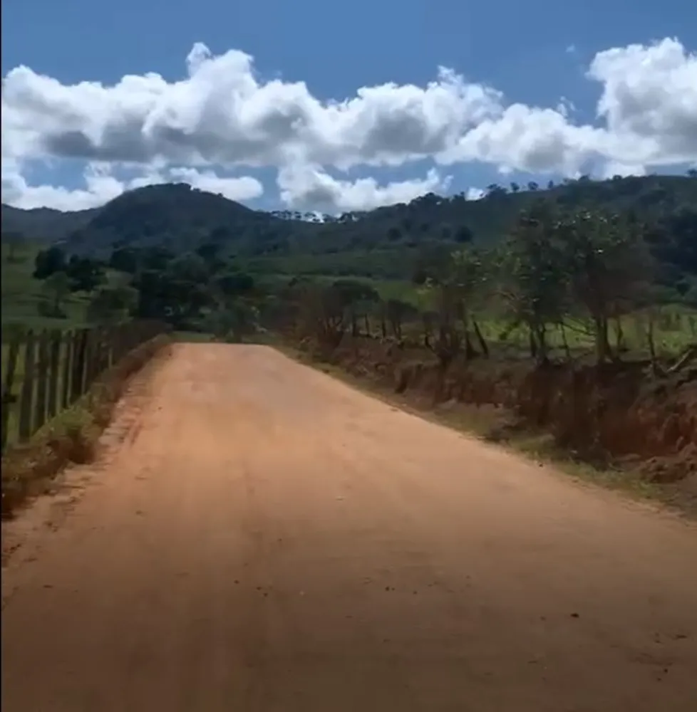 Fazenda, 320 hectares - Foto 11
