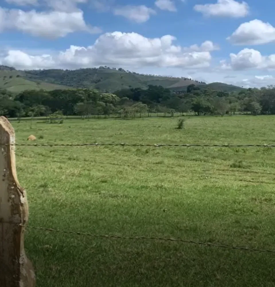 Fazenda, 320 hectares - Foto 9