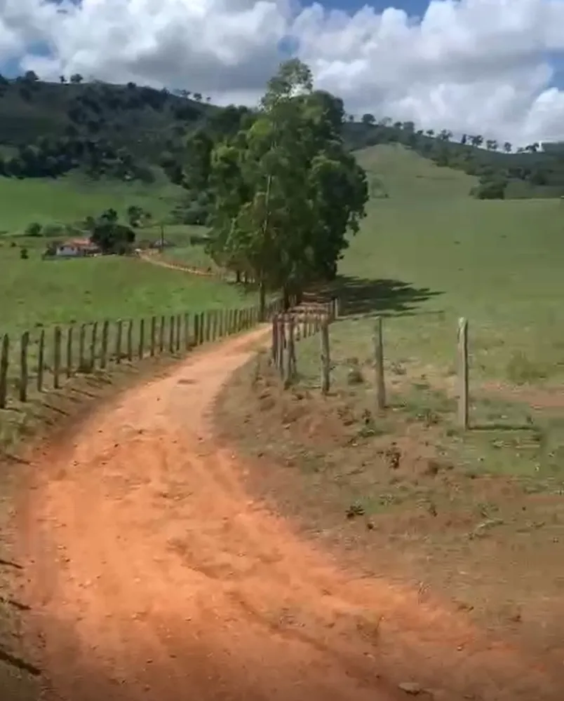 Fazenda, 320 hectares - Foto 6
