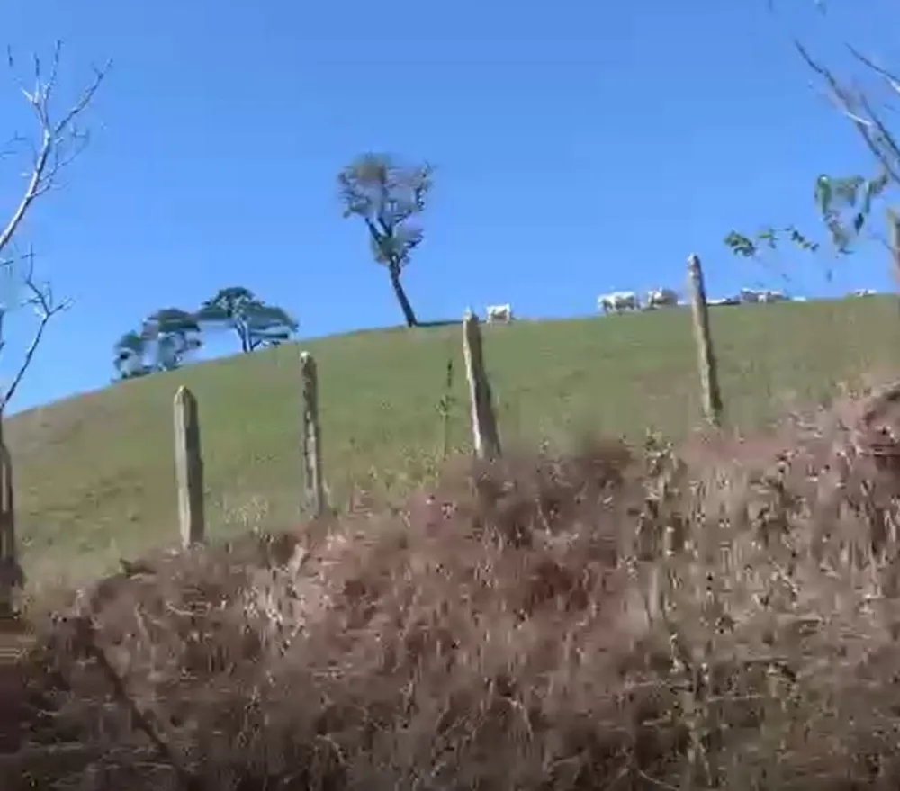 Fazenda, 320 hectares - Foto 16