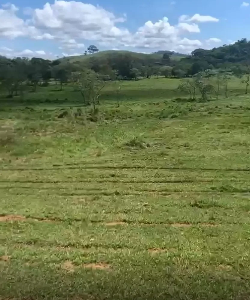 Fazenda, 320 hectares - Foto 18